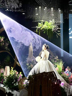 10W Commercial Outdoor Laser Light for Advertising Displays